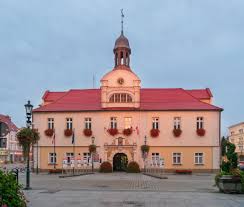 Radek z Żar